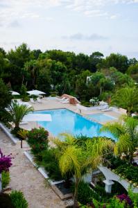 帕莱索德洛斯皮诺斯酒店内部或周边泳池景观