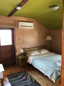巴亚马雷Pensiunea Iona的一间卧室设有一张床和绿色的天花板