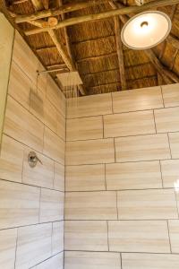 Guernsey Nature ReservePanzi Lodge的带淋浴的浴室和木制天花板