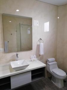 卡塔赫纳卡塔赫纳酒店的一间带水槽、卫生间和镜子的浴室