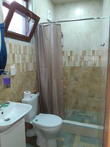 克瓦雷利Guest House Gzirishvili的带淋浴、卫生间和盥洗盆的浴室