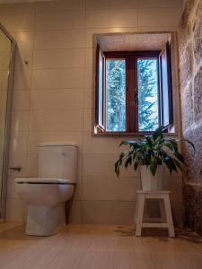 莫斯Casa Eido Vello的一间带卫生间和盆栽的浴室