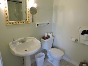 巴德克奥尔德农场住宿加早餐酒店的一间带水槽、卫生间和镜子的浴室