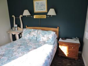 巴德克奥尔德农场住宿加早餐酒店的一间卧室配有一张床和一个带灯的床头柜