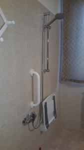 AlannoL'ulivo b&b的一个带盥洗盆的浴室内的淋浴间