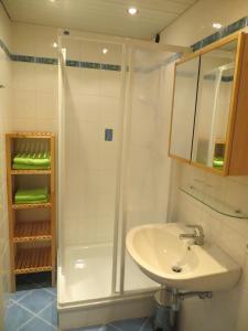 阿特湖畔努斯多夫碧姬佩诺尔公寓的带淋浴和盥洗盆的浴室