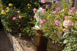 库马星云汽车旅馆的一座花园,花园内种有粉红色的花卉和白色的花瓶