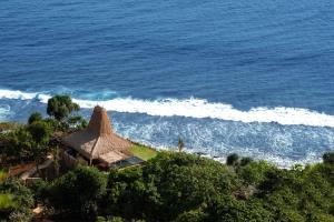 WatukarereLelewatu Resort Sumba的茅草屋顶的海洋空中景观