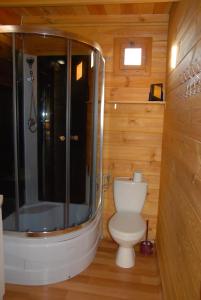 辛安诺泽蒂Domki u Wladka的一间带卫生间和淋浴的浴室
