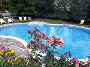 埃斯波特Hotel Or Blanc的蓝色的游泳池,种植了红玫瑰植物