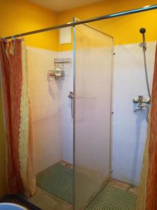 阿卢克斯内Brīvdienas的浴室里设有玻璃门淋浴