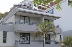 丰沙尔Apartamentos Turísticos Vitoria by Petit Hotels的一座白色的建筑,前面有棕榈树