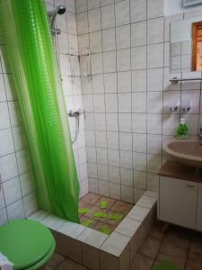 于克里茨FeWo Inselzeit的一间带绿色淋浴帘的淋浴的浴室
