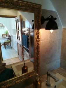 罗克布吕讷-卡普马丹Monaco's Cottage & Spa的浴室内水槽上的镜子