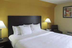 辛辛那提辛辛那提戴斯套房酒店的一张大白床,位于酒店带两盏灯的房间