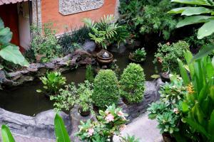 塞米亚克水明漾帕达迪索酒店的种有许多植物和池塘的花园