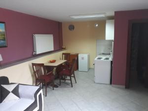 尼克希奇Apartments Delić的厨房配有桌椅和冰箱。