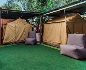 温特和克Chameleon Backpackers & Guesthouse的绿地毯上的两把椅子和一顶帐篷