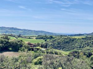 蒙泰卡蒂尼瓦尔迪切奇纳Farmhouse Gello by ToscanaTour的享有树木和房屋的田野景色