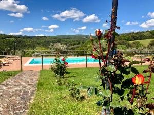 蒙泰卡蒂尼瓦尔迪切奇纳Farmhouse Gello by ToscanaTour的花园的背景是游泳池