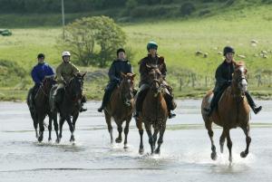 斯莱戈Sligo Southern Hotel & Leisure Centre的一群人骑着马穿过水面