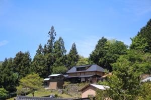 OtoyochoGuesthouse boro-ya的树上山顶的房子