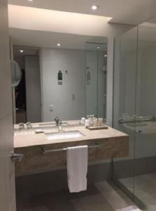 麦德林Hotel Estelar Square的一间带水槽、淋浴和镜子的浴室