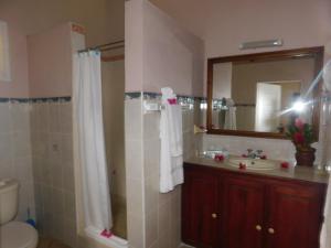 苏弗里耶尔拉浩特度假酒店的浴室配有盥洗盆和带镜子的淋浴