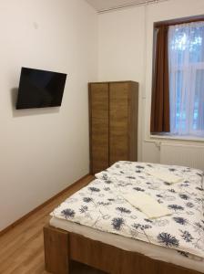 布达佩斯Guest House Orczy Park的一间卧室配有一张床和一台平面电视