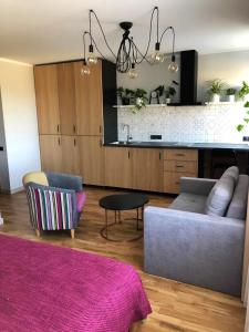 斯米尔泰内Kaktuss apartamenti Smiltene的带沙发的客厅和厨房
