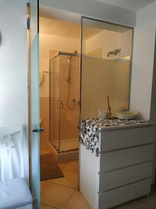 莫内利亚Villa Venino的带淋浴的浴室和白色冰箱。