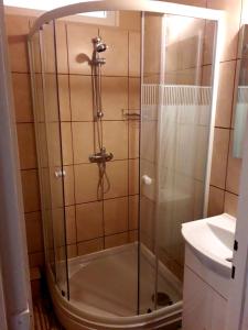 索尔诺克Centrum apartman的浴室里设有玻璃门淋浴