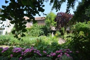 图勒Chambre d'hôtes à TOUL centre ville avec parking privé的一座鲜花盛开的花园,一座建筑