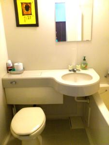 水上町天神旅馆的一间带水槽、卫生间和镜子的浴室