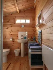 切斯特The Cabin的小木屋浴室设有水槽和卫生间