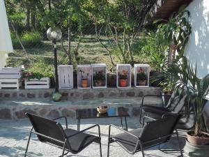 亚历山德里亚la casa nel sole的一组椅子和一张桌子,上面有盆栽植物