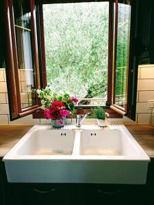 DivarataCephalonian Countryside Villa的厨房的盥洗盆,窗户上放着鲜花