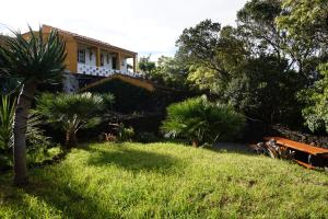 Praia do NortePortugal House的院子里有棕榈树的房子