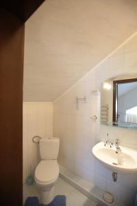 特鲁斯卡韦茨Апартаменти в центрі Трускавця的一间带卫生间、水槽和镜子的浴室