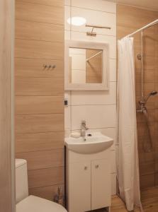 卢克钦Na Leniwych Wodach的一间带水槽、卫生间和淋浴的浴室