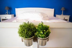 特拉尼Terra Del Sole的两盆植物坐在床边