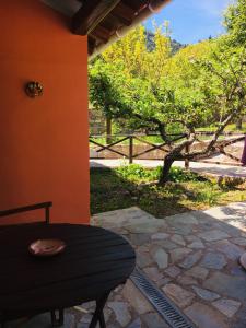 Tóriza伊拉艾拉避暑山庄酒店的一个带桌子并享有树景的庭院