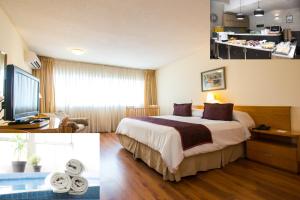 蒙得维的亚阿蒙套房酒店的酒店客房,配有床和电视