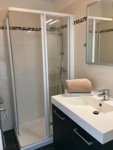 勒伯吉特杜拉克RESIDENCE DU PORT的一间带水槽和淋浴的浴室