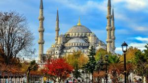 伊斯坦布尔Vizyon Hotel的一座有两座蓝色圆顶和两座清真寺的建筑