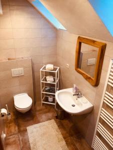 茵聂科里姆斯Apartment Almhaus Innerkrems的一间带水槽、卫生间和镜子的浴室