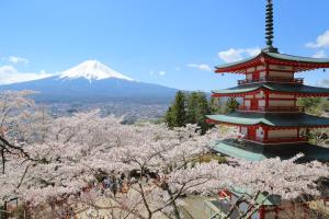 富士吉田市Guesthouse Arakura的相册照片