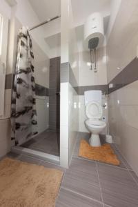 莫斯塔尔Hostel -Sema的一间带卫生间和淋浴的浴室