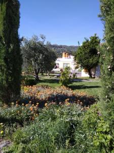 维迪堡Casa da Paleta的一座花园,在房子前种有鲜花