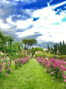 佛罗伦萨拉法多丽萨酒店的绿地中种有粉红色花卉的花园
